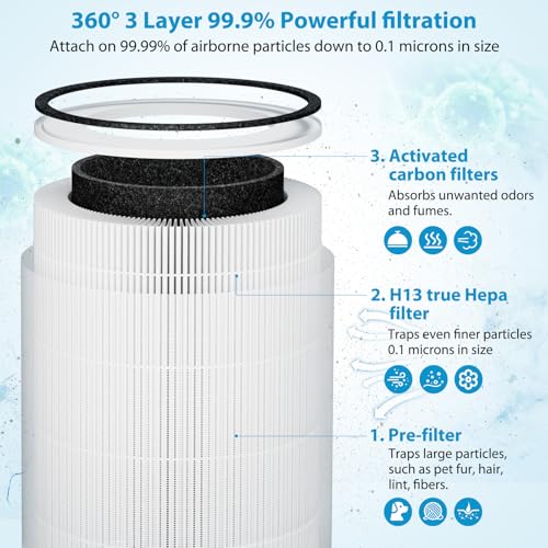Image of True HEPA Kilo Filter Replacement Compatible with Afloia Kilo, KILOPLUS, KILOPRO, MIRO, MIRO PRO and MORENTO MR-Kilo, Kalo, 2 Pack