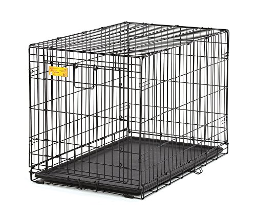 MidWest Homes for Pets Life Stages ACE Dog Crate, 36-Inch