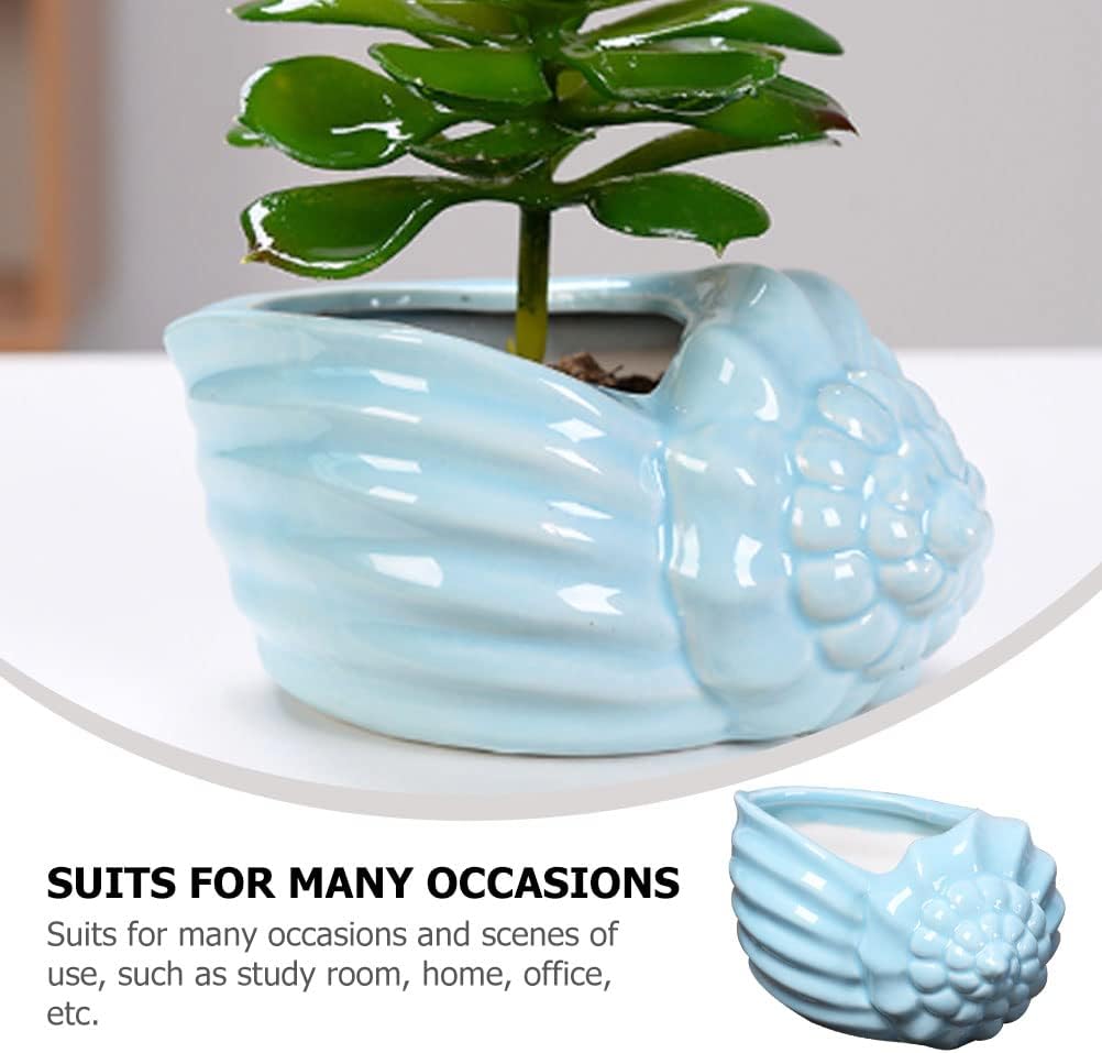 FOMIYES Desk Decor Water Plant Holder Ceramic Conch Shell Ocean Succulent Planter Succulent Plant Pot with Drainage Hole Outdoor Decor