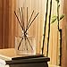 NEST New York Reed Diffuser Liquid Refill, Bamboo - 5.9 fl oz - Fragrance for Up to 90 Days - Flame Free