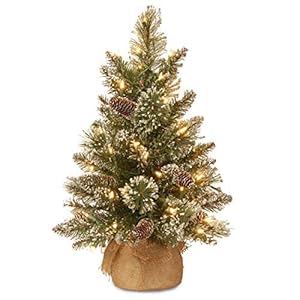 National Tree Company Pre-lit Artificial Mini Christmas Tree | Includes Small LED Lights, White Tipped, Glitter Branches…