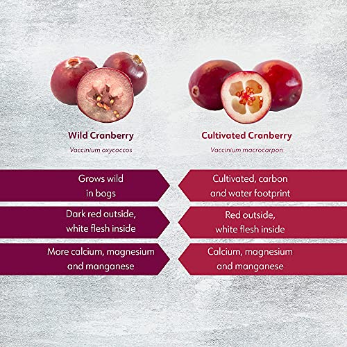 Loov Bundle – 2 Items Organic Wild Blueberry Powder And Organic Wild Cranberry Powder #TOP7