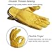 FZTEY Thorn Proof Gardening Men & Women Gloves Breathable Flexible 8(Medium)