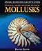 Snails, Shellfish, & Other Mollusks (Animal Kingdom Classification)