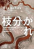 枝分かれ: 自然が創り出す美しいパターン