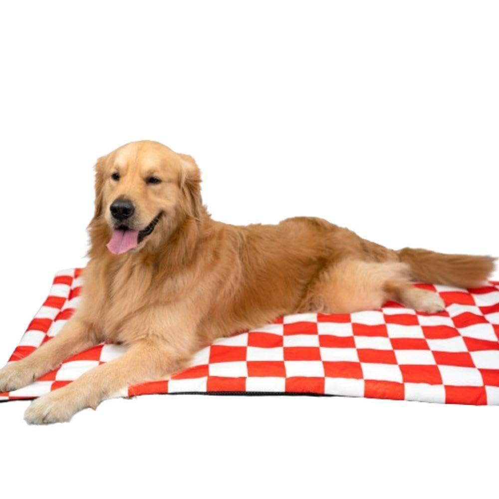 Pet Set Go Cozy Checks Poly Canvas Printed Rectangle Pet Mat Mattress | Washable Padded Pet Mat| Light Weighted Dog Flat Mat for Medium Size Dogs & Cats (B0CT2N9R9T) Amazon Price History, Amazon Price Tracker