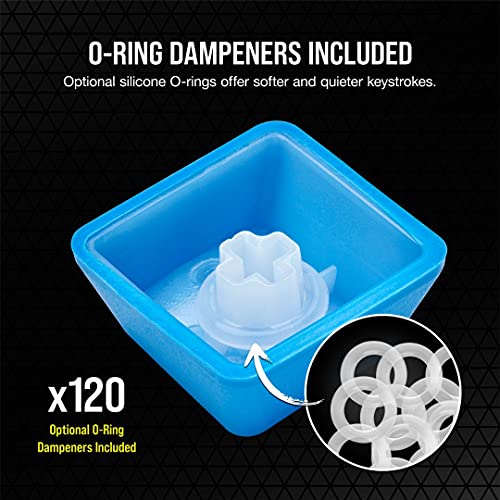 Image of Corsair PBT Double-Shot PRO Keycap Mod Kit - Double-Shot PBT Keycaps - ELGATO Blue - Standard Bottom Row - Textured Surface - 1.5mm-Thick Walls - O-Ring Dampeners (CH-9911030-NA)