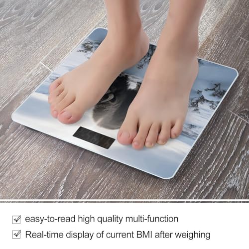 Báscula digital para baño con alta precisión 400 lb miniatura 5