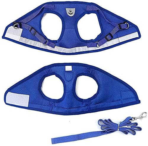 Image of FEimaX Dog Harness and Leash Set for Walking, Soft Mesh Adjustable Easy Control Lightweight Cat Vest Harnesses with Reflective Strips, Escape Proof Small Dogs Cats Vests (Blue, Small)