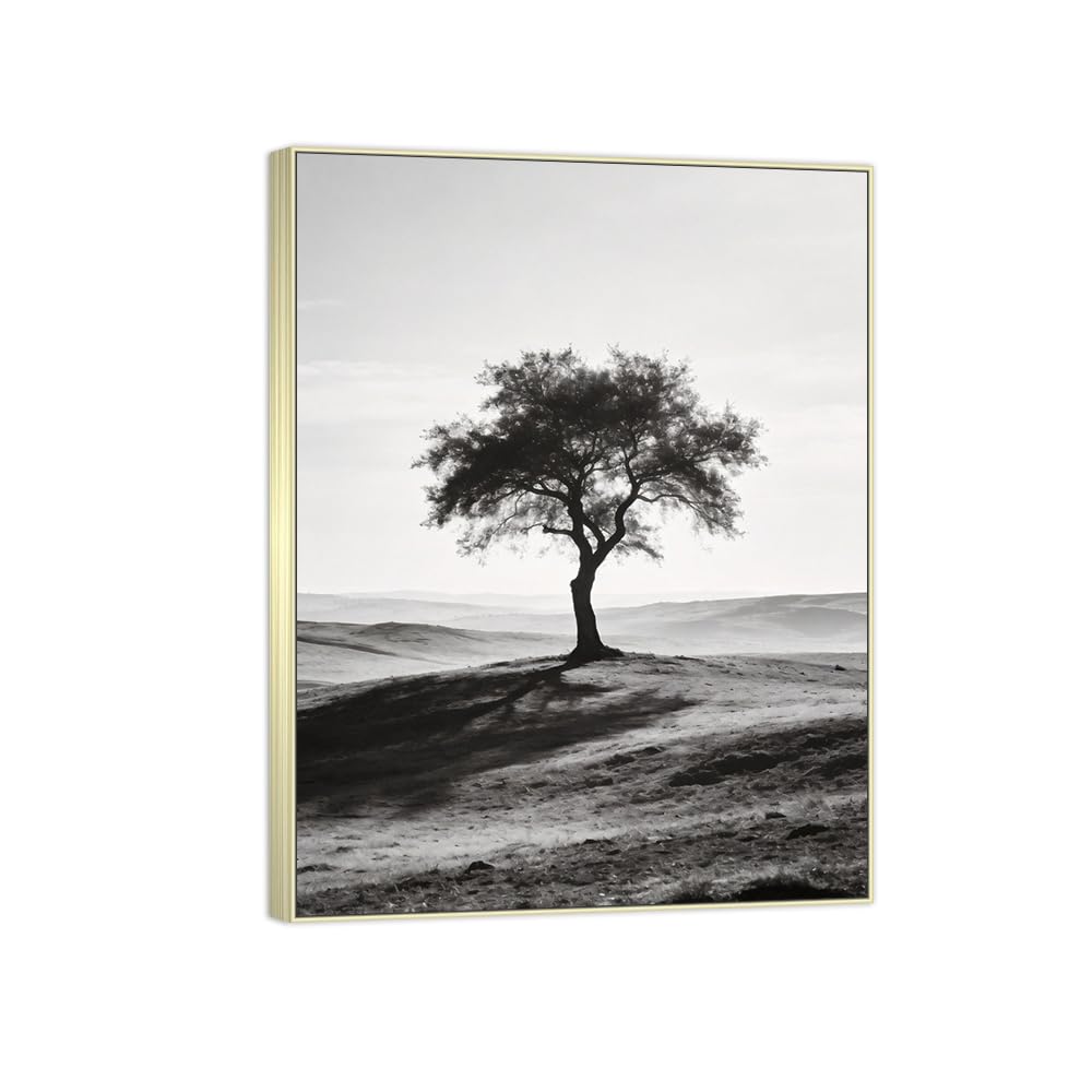 Tree Grassland Black White Landscape Canvas Picture 50x65cm Silver Frame