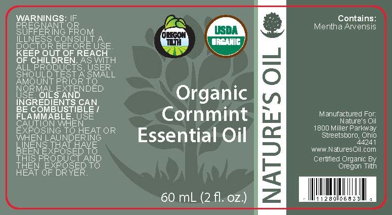 Amazon.com: Best Cornmint (Peppermint Japan) Essential Oil Pure