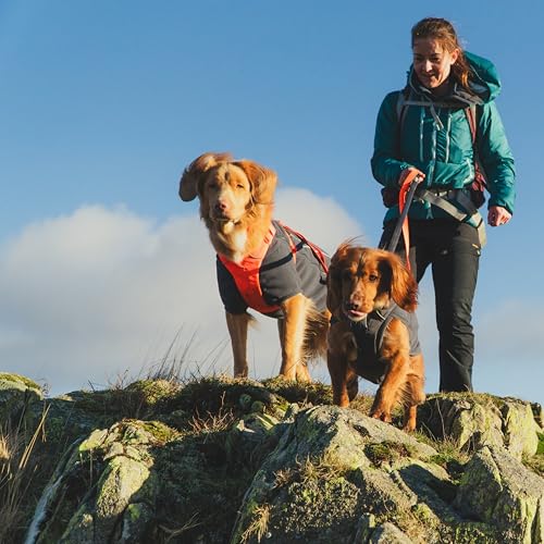 Ruffwear, Climate Changer Hunde-Fleeceweste, leicht, warm, Wintermantel für Hunde mit verstellbarer Passform, Schnellverschluss-Schnallen, reflektierender Rand und Geschirr-Kompatibilität, Basaltgrau