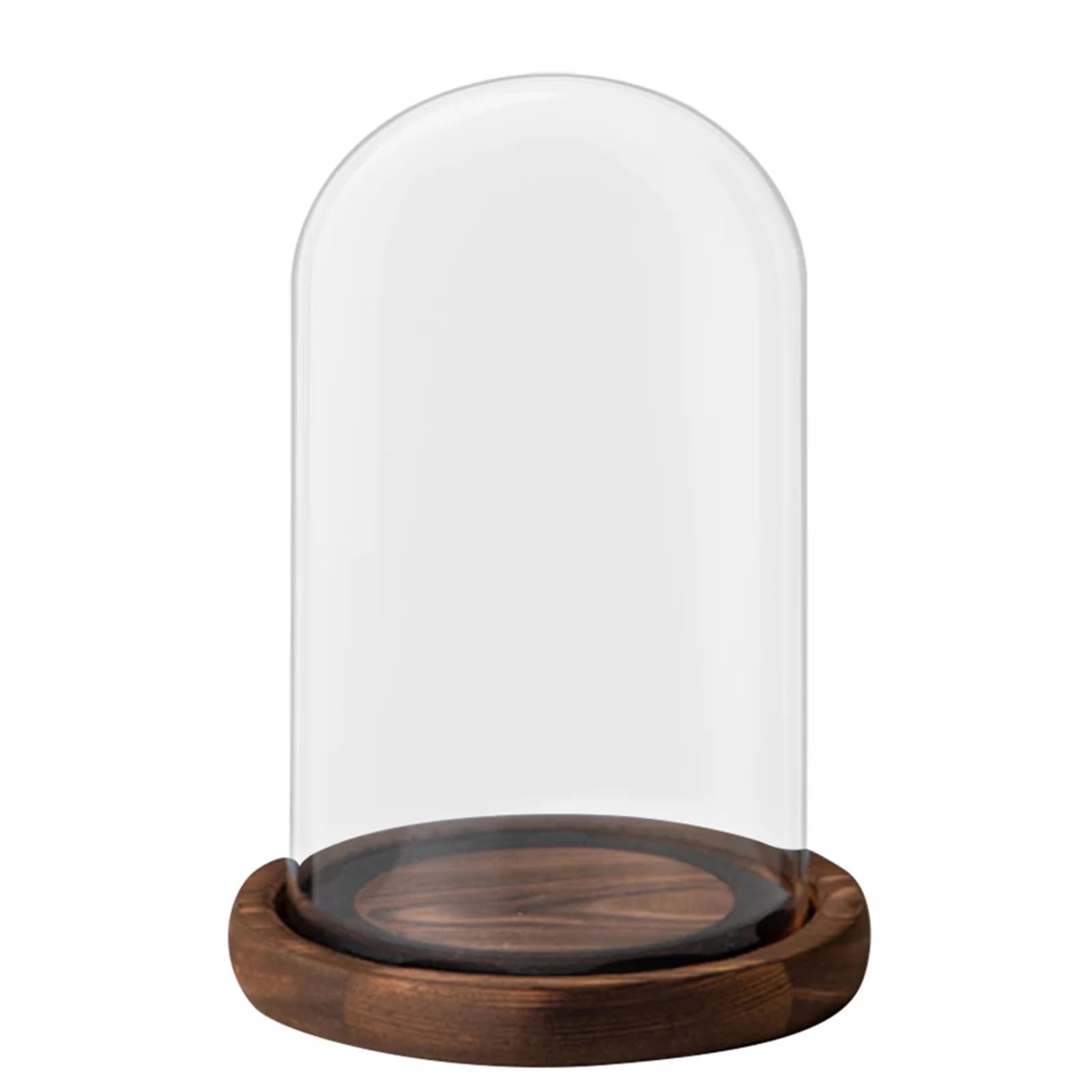 Wyqxty Coffee Clear Glass Cloche Display Glass Cloche Dome With Wooden Base Transparent Cover 2 Pcs Multicolor Desktop Decor(Coffee)