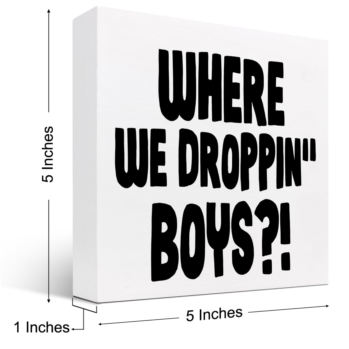 Cartel divertido para videojuegos, con texto en inglés Where We Dropping Boys (Where We Dropping Boys) con cita de videojuegos, caja de madera, placa de bloques, decoración de escritorio para el 2