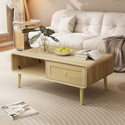 Timechee ローテーブル ラタン風 木製 幅100*奥行60*高さ45.5cm コーヒーテーブル リビングテーブル リフティングテーブル 収納テーブル 大容量 収納棚付き 省スペース 組立簡単 一人暮らし ナチュラル