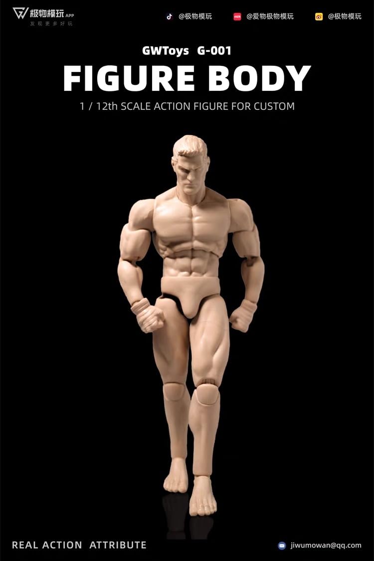 Amazon.co.jp: 【Tbmodel 】GWTOYS 1/12 アクションフィギュア 男性