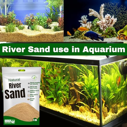 Image of Organic Natural River Sand for Plants Gardening | River Sand for Aquarium | River Sand for Kids Play |Pure Organic Plants Soil Mix Additive Adenium Cactus Succulent Bonsai| Home Decor Sand (20)