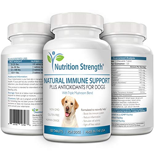Nutrition Strength Immune Support For Dogs Plus Antioxidant, Reishi, Shiitake, Maitake, Turkey Tail Mushrooms For Dogs, With Coenzyme Q10, Nutritional Support For Dogs, 120 Chewable Tablets #TOP3