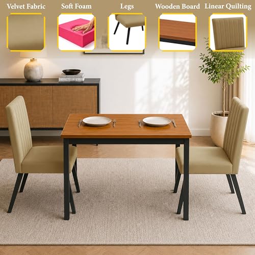 Image of Rosebell Set of 2 Dining Table Chairs with Wooden Top Table, Upholstered Cushioned Chairs, Modern Compact Dining Set for Home, Kitchen & Dining Room (Golden)