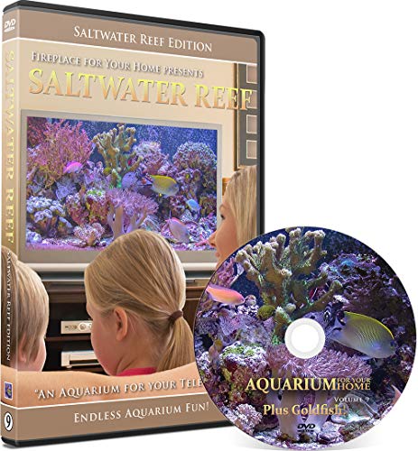 Aquarium for Your Home: Saltwater Reef an Aquarium for Your Television
