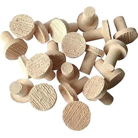 Coral Ceramic Frag Plugs by Phyto Plus Cover