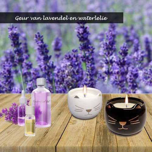 Originele Decoratieve Kattenkaarsen, Set van 2 Geurkaarsen Geschenken, Geurkaarsen voor Home Decoration - Afbeelding 4