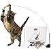 Whiskertons Interactive Bird Simulation Cat Toy Set, Interactive Cat Toys for Indoor Cats, Cat Feather Toy, Self-Holding Suction Base, 5 Replacement Birds, Feathers & Bells, Realistic Bird Impression
