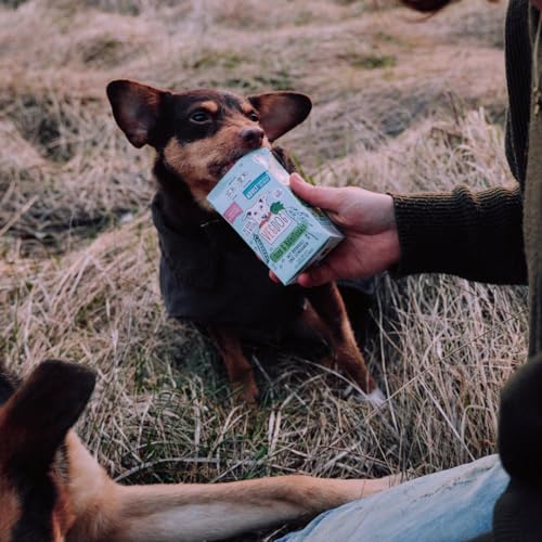 VEGDOG Simply Starter Probierbundle mit hypoallergenem Alleinfutter und Snacks, Einsteiger Paket