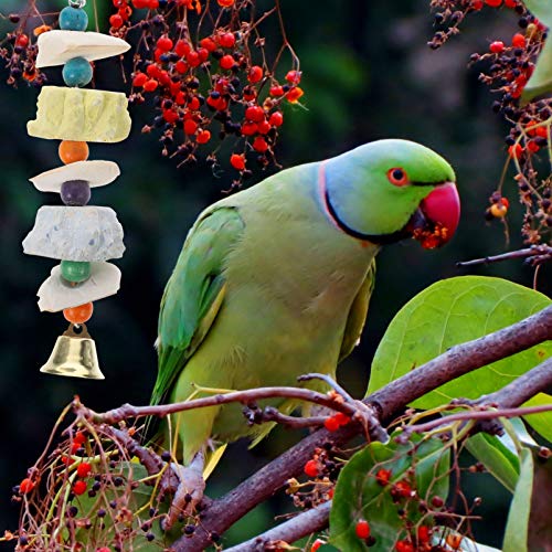 Balacoo Bico Do Papagaio Brinquedo Gaiola de Cálcio Pedra Guarnição Periquitos Contas Ranger Os Dent