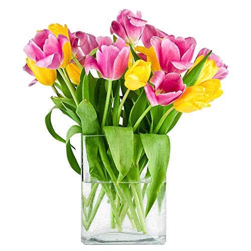 CYS EXCEL Glass Book Vase (H:10" Open:7"x2") | Multiple Size Choices Round Edge Oval Flower Vase | Rectangular Wedding Centerpiece Vases - Image 4