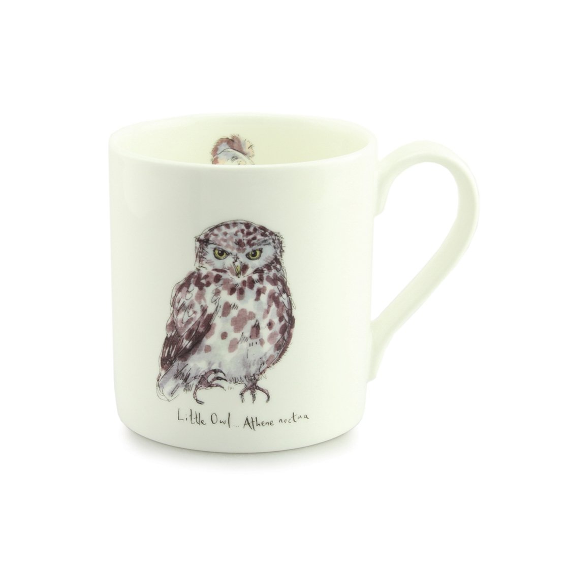 Mclaggan Madeleine Floyd Little Owl, Fine Bone China Mug