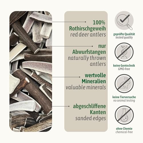 ChronoBalance® L - Hirschgeweih für Hunde – 1er Set Halbierte Kauspielzeuge, 100% Natürliches Kauknochen Hundespielzeug zur Zahnpflege, Nachhaltige Hunde Kauartikel ohne Chemie