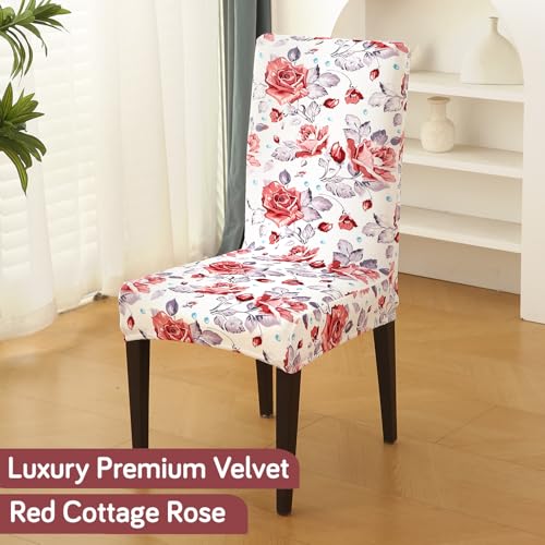 Image of HOKIPO Premium Printed Velvet Chair Cover Set of 2 for Dining Table, Red Cottage Rose (AR-5794-D6*2)