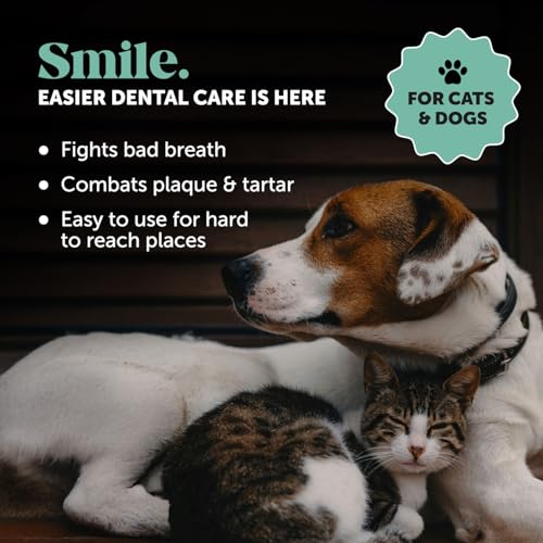 Image of Dog Complete Dental Care Virtual Bundle for Large Dogs - Dental Powder (Mint, 60 Servings) + Finger Dental Wipes (30 ct)