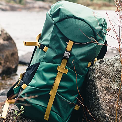 Tagme 10 Pcs Dog Tags, Slide On Dog Id Tag With Blank Stainless Steel Nameplate, For Small Dogs, Black, M #TOP3