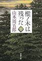 樅ノ木は残った（中） (新潮文庫)