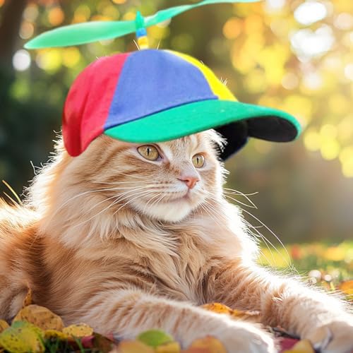 Chapeau de soleil pour chien pour petites races accessoire photo été couvre-chef chat - 4