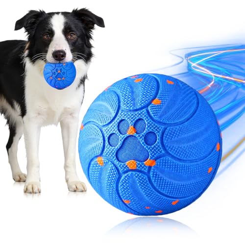 Quiet Smart Chase Ball
