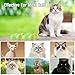 Zentrol Natural Peppermint Oil Cat Deterrent Outdoor, Keep Cats Permanently Out of Yard, Lawn, Garden, Furniture, Mulch & Flower,8 Pack