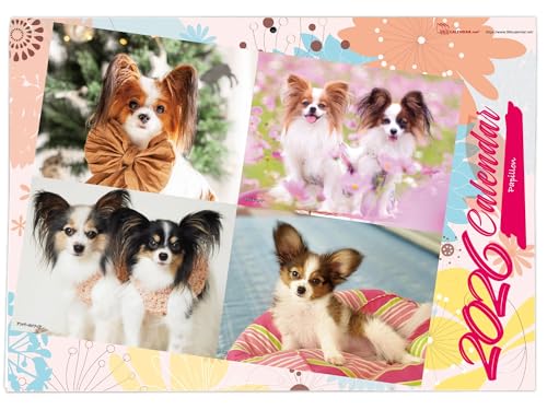 365カレンダー 2026年 パピヨン 壁掛け 卓上カレンダー付き 2026-010のサムネイル