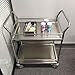 One-Piece Welded Medical Trolley 2-Layer Workbench Double Armrests Fenced 201/304/316 Stainless Steel Optional High-end Silent Wheels 15.7x15.7x33.5 Inches (316 Stainless Steel 40x35x80)