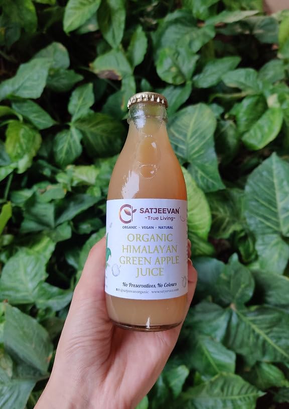 Satjeevan Organic Himalayan Green Apple Juice, 200ml, Glass Bottle, Preservative-Free-picture-25