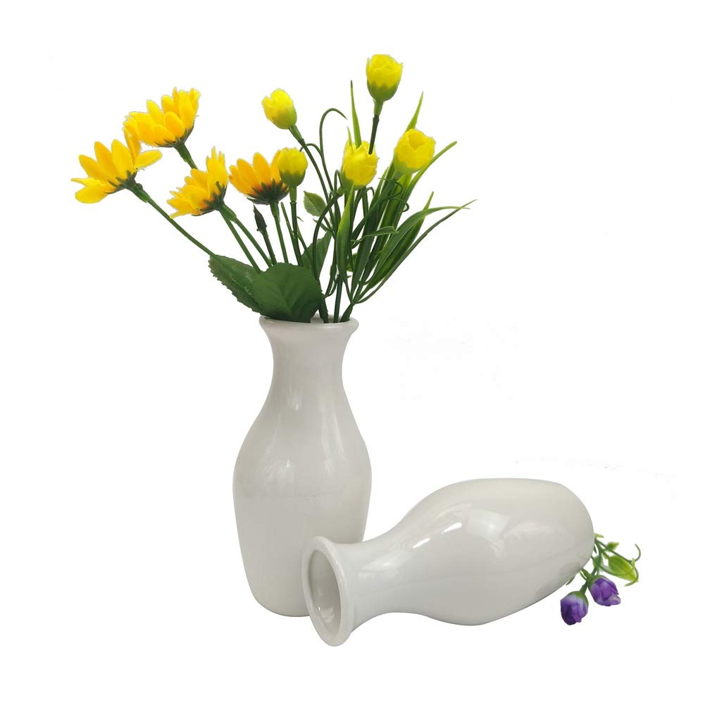 Flower Vases Interior Decor For You