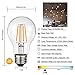 Dimmable Led Edison Bulb A19, 4W Vintage Filament Light Bulb, 40W Incandescent Equivalent, Soft Warm White 2700k, 360 Lumens, E26 Clear Glass Cover, Pack of 6