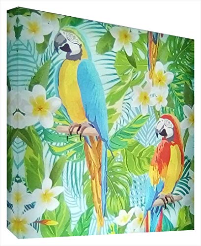 Tableau avec lumière LED CCRETROILUMINADOS Loros méthacrylate multicolore 80 x 80 cm