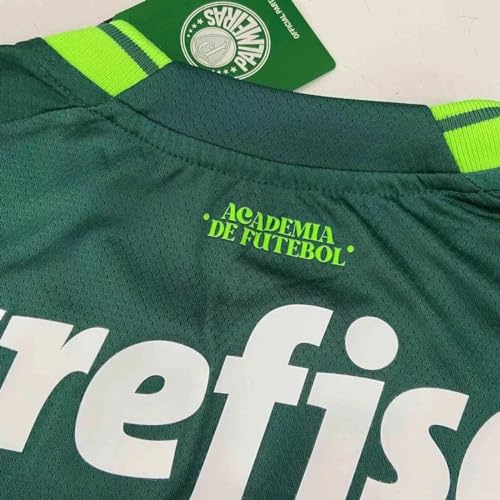 Camisa do Palmeiras 2023/24 - Torcedor (BR, Alfa, P, Regular, Verde Masculino)