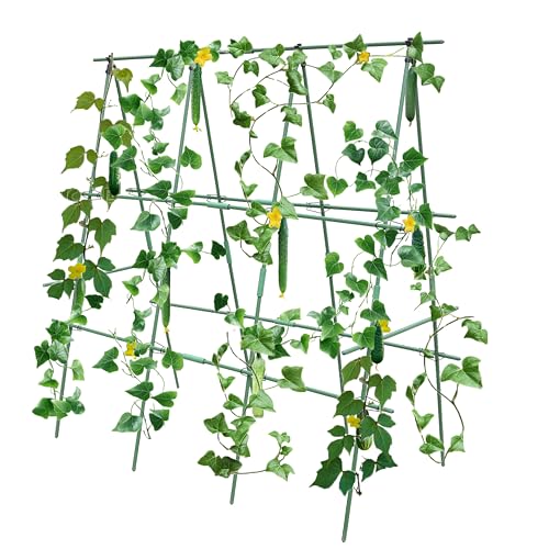 Neegool Gurke Rankhilfe 120x120cm, Tomatenpflanzenhalter für...