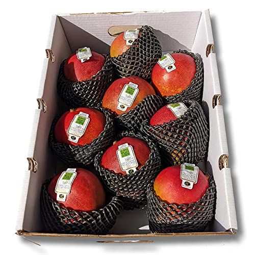 Mango fruta Pack 4 kg - Mangos de avión. Importación. Variedad KENT - Compra mangos. Come fruta, come sano.