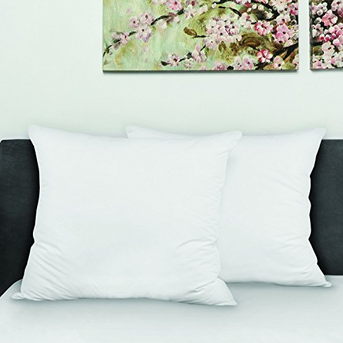 Biopedic Luxurious 28-By-28 Inch Euro Square Pillows, 2-Pack #TOP6