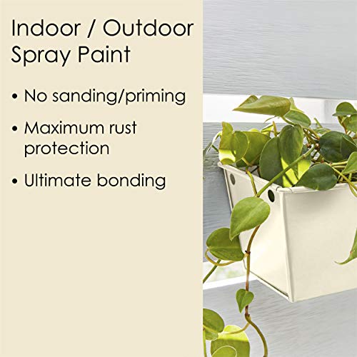 Image of Krylon Fusion All-In-One Adhesive Spray Paint for Indoor /Outdoor Use, 12 oz, Dover White